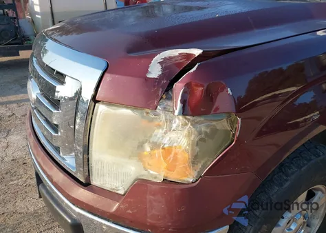 2009 Ford F-150 Xlt из США, поврежденный, VIN 1FTRF12W29KB14662